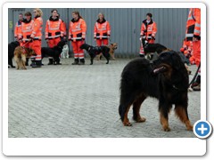 Foto: Andreas J�ckel - Rhein - Zeitung - Ausgabe: AK, KO u. WW. Nr.:232 vom 05.10.2012 