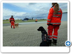 Foto: Andreas J�ckel - Rhein - Zeitung - Ausgabe: AK, KO u. WW. Nr.:232 vom 05.10.2012 