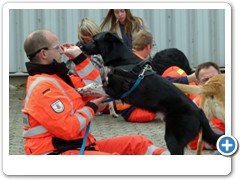 Foto: Andreas J�ckel - Rhein - Zeitung - Ausgabe: AK, KO u. WW. Nr.:232 vom 05.10.2012 