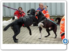 Foto: Andreas J�ckel - Rhein - Zeitung - Ausgabe: AK, KO u. WW. Nr.:232 vom 05.10.2012 