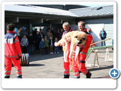 Foto : Angela Baumeier -
Rhein-Zeitung Ausg. Westerwald
Nr. 218 vom 18.09.2012