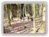 Training 2011
