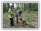 Training 2011